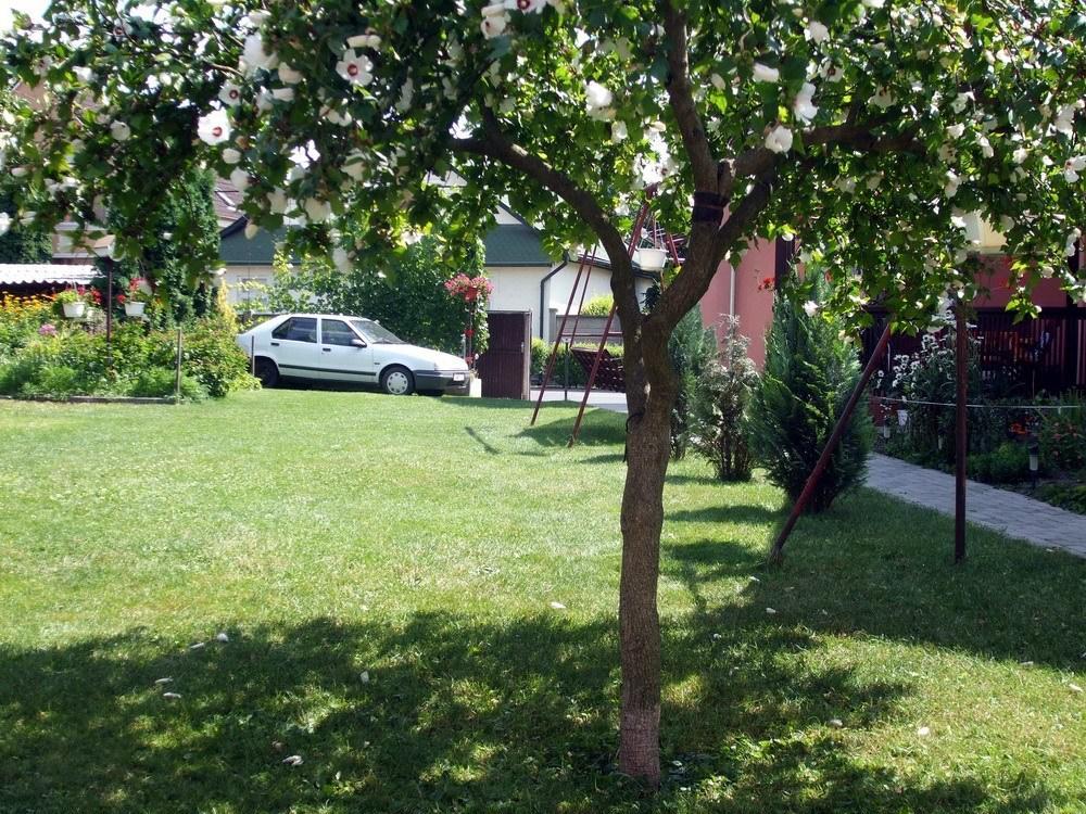 Lugas Szallas Jászberény Exterior foto