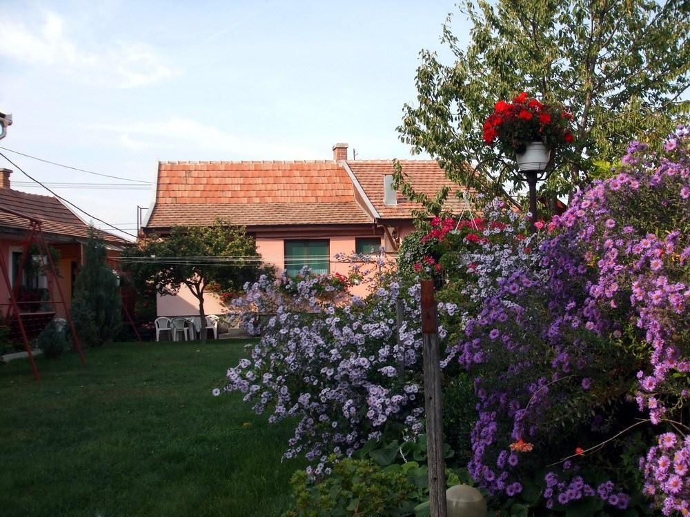 Lugas Szallas Jászberény Exterior foto